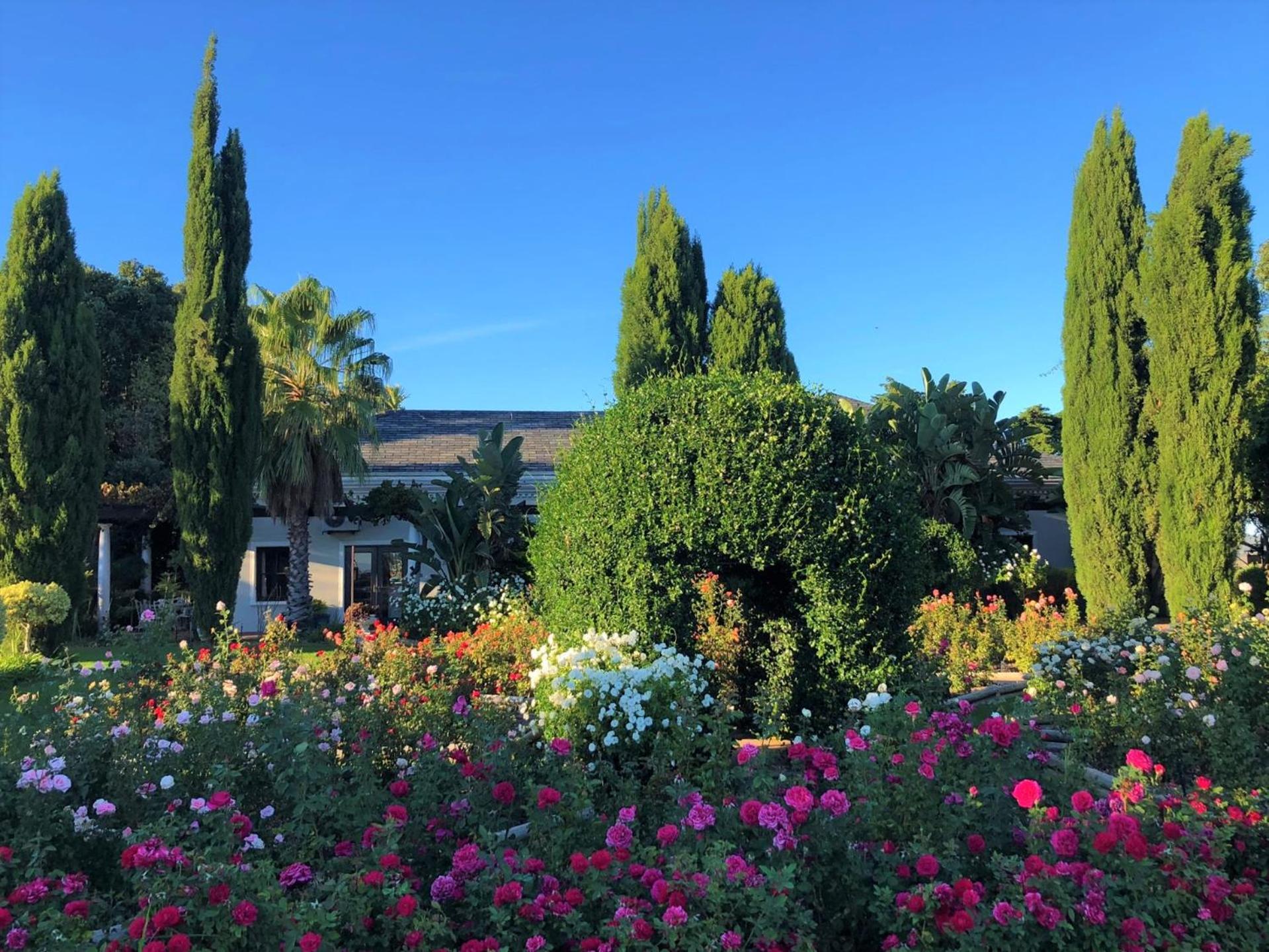 Bakenhof Winelands Lodge パール エクステリア 写真