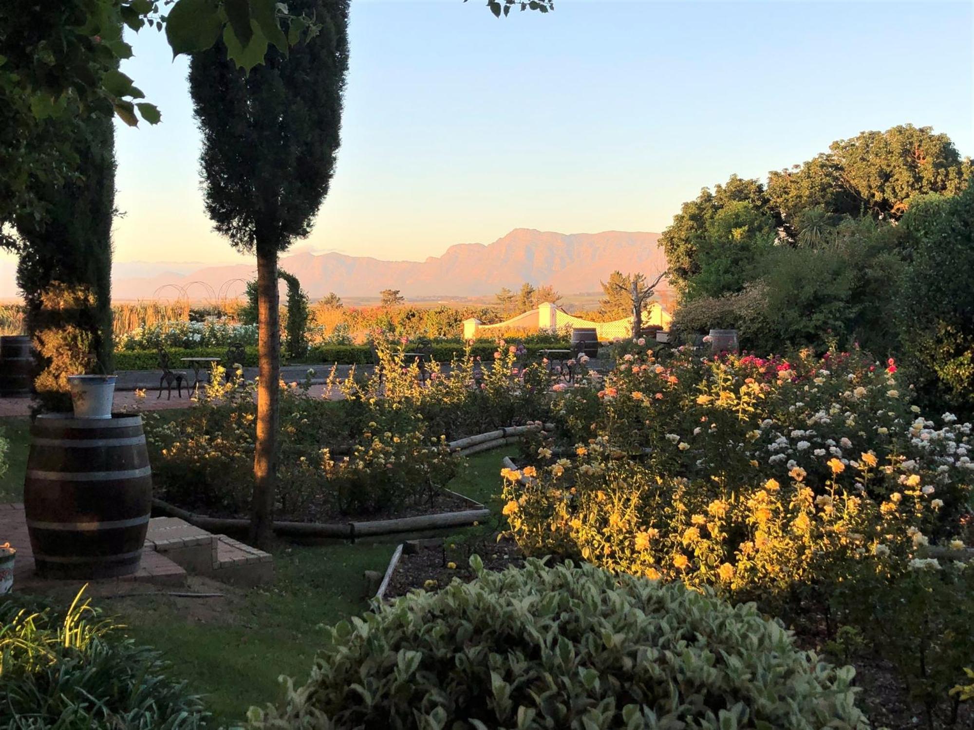 Bakenhof Winelands Lodge パール エクステリア 写真